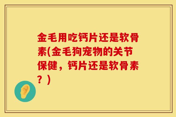 金毛用吃钙片还是软骨素(金毛狗宠物的关节保健，钙片还是软骨素？)