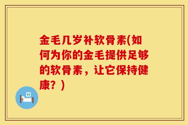 金毛几岁补软骨素(如何为你的金毛提供足够的软骨素,让它保持健康?)