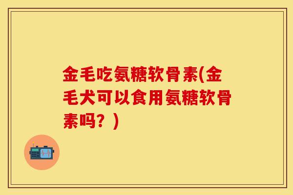 金毛吃氨糖软骨素(金毛犬可以食用氨糖软骨素吗？)