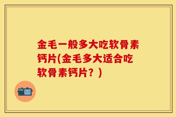 金毛一般多大吃软骨素钙片(金毛多大适合吃软骨素钙片？)