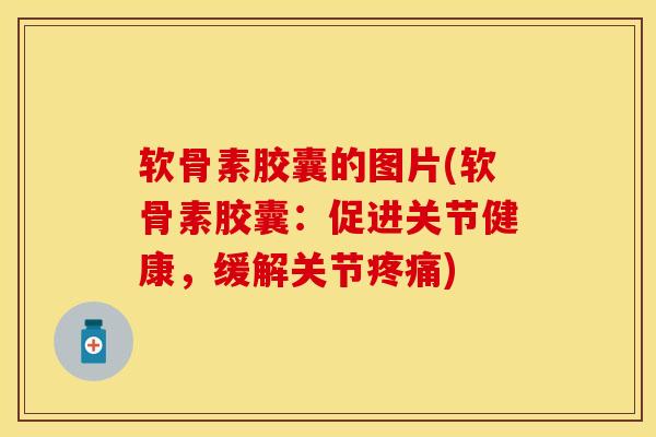 软骨素胶囊的图片(软骨素胶囊：促进关节健康，缓解关节疼痛)