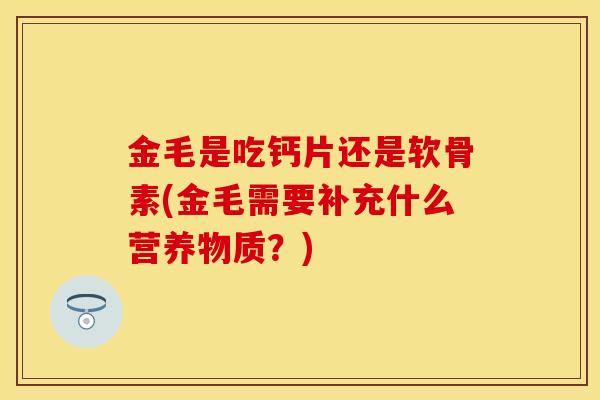 金毛是吃钙片还是软骨素(金毛需要补充什么营养物质？)