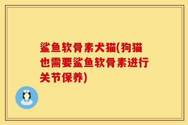 鲨鱼软骨素犬猫(狗猫也需要鲨鱼软骨素进行关节保养)
