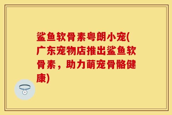 鲨鱼软骨素粤朗小宠(广东宠物店推出鲨鱼软骨素,助力萌宠骨骼健康)