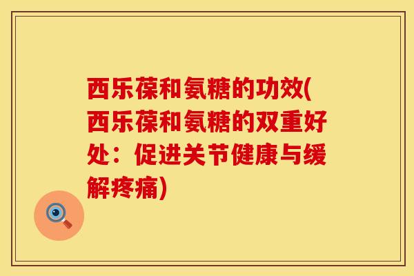 西乐葆和氨糖的功效(西乐葆和氨糖的双重好处：促进关节健康与缓解疼痛)