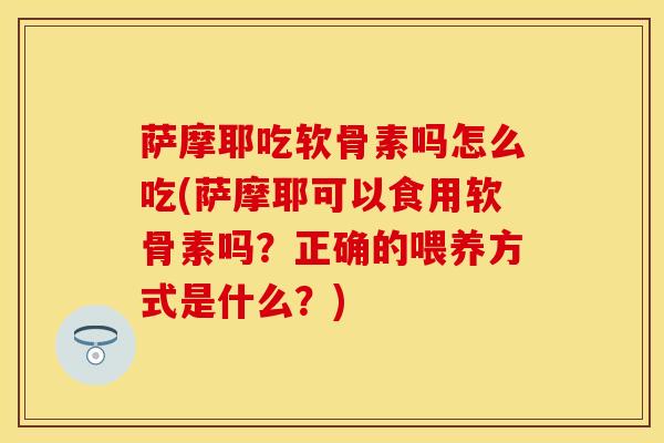 萨摩耶吃软骨素吗怎么吃(萨摩耶可以食用软骨素吗？正确的喂养方式是什么？)