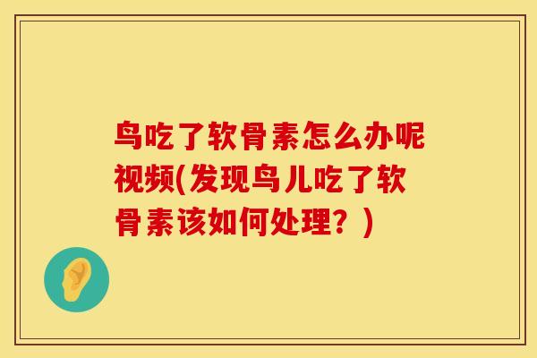 鸟吃了软骨素怎么办呢视频(发现鸟儿吃了软骨素该如何处理?)