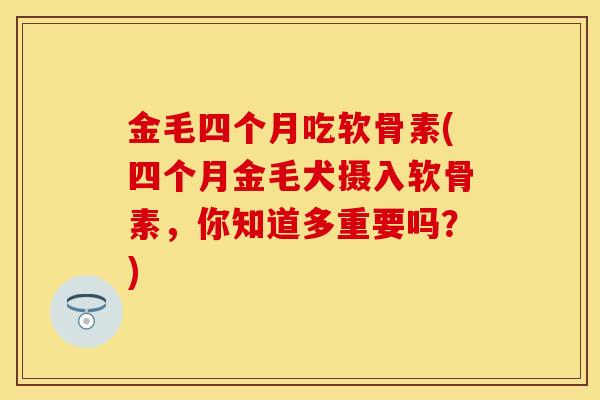 金毛四个月吃软骨素(四个月金毛犬摄入软骨素，你知道多重要吗？)