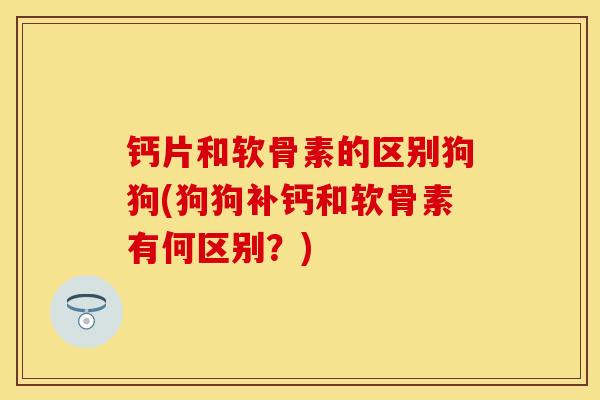 钙片和软骨素的区别狗狗(狗狗补钙和软骨素有何区别？)