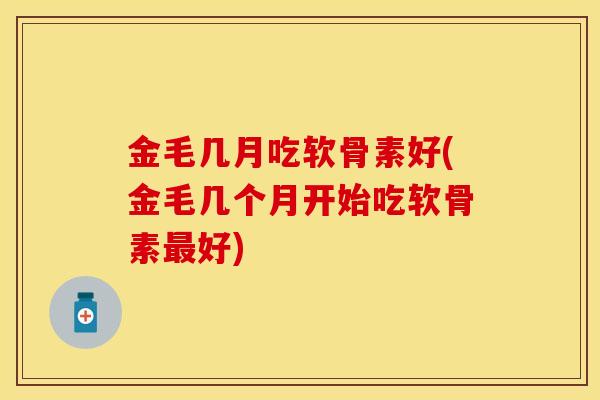金毛几月吃软骨素好(金毛几个月开始吃软骨素最好)