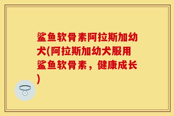 鲨鱼软骨素阿拉斯加幼犬(阿拉斯加幼犬服用鲨鱼软骨素，健康成长)