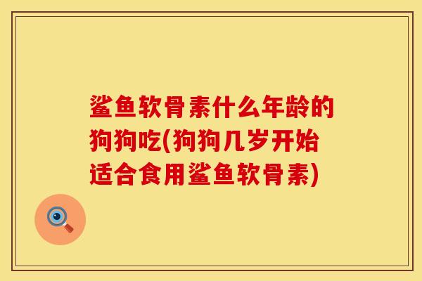 鲨鱼软骨素什么年龄的狗狗吃(狗狗几岁开始适合食用鲨鱼软骨素)