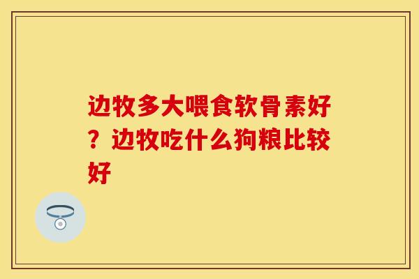 边牧多大喂食软骨素好？边牧吃什么狗粮比较好