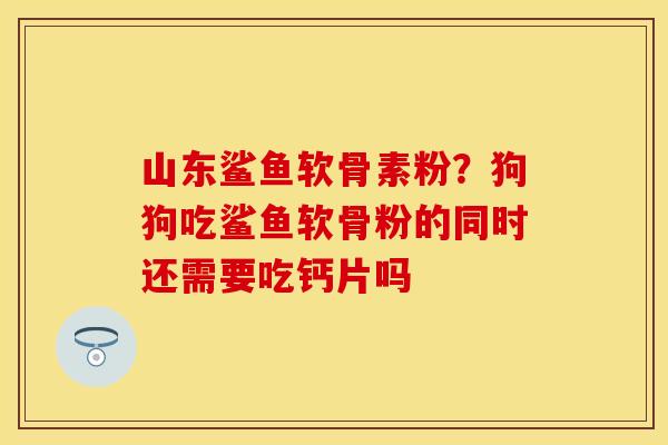 山东鲨鱼软骨素粉？狗狗吃鲨鱼软骨粉的同时还需要吃钙片吗