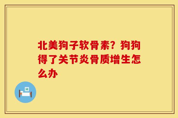 北美狗子软骨素？狗狗得了关节炎骨质增生怎么办