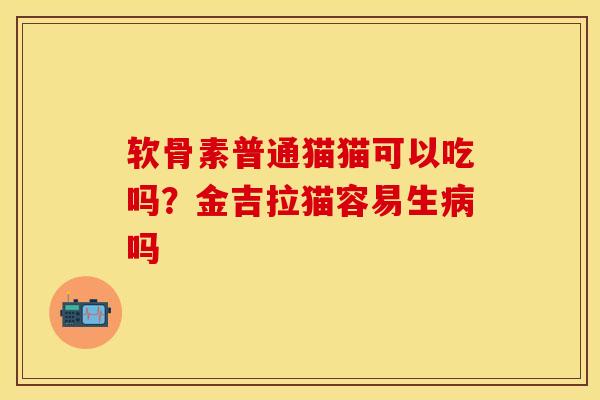 软骨素普通猫猫可以吃吗？金吉拉猫容易生病吗