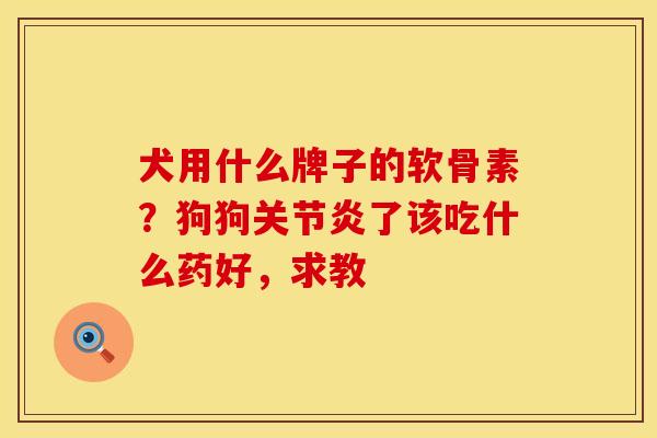 犬用什么牌子的软骨素？狗狗关节炎了该吃什么药好，求教
