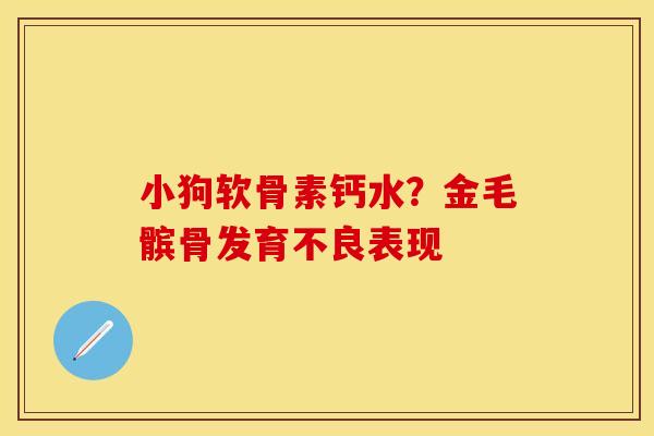 小狗软骨素钙水？金毛髌骨发育不良表现