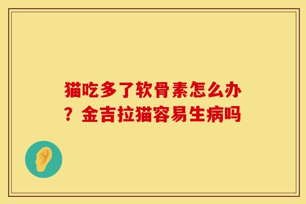 猫吃多了软骨素怎么办？金吉拉猫容易生病吗