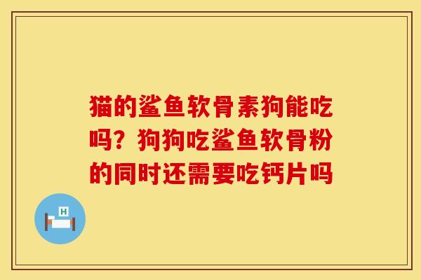 猫的鲨鱼软骨素狗能吃吗?狗狗吃鲨鱼软骨粉的同时还需要吃钙片吗
