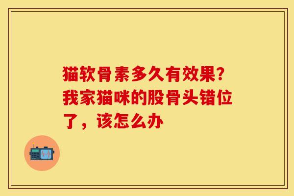 猫软骨素多久有效果？我家猫咪的股骨头错位了，该怎么办