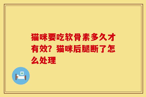 猫咪要吃软骨素多久才有效？猫咪后腿断了怎么处理