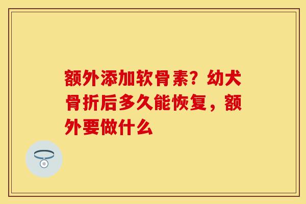 额外添加软骨素？幼犬骨折后多久能恢复，额外要做什么