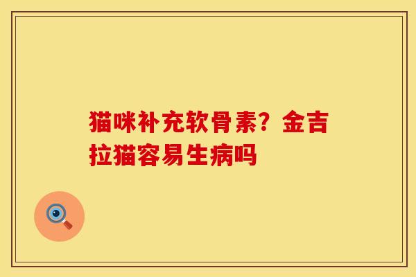 猫咪补充软骨素？金吉拉猫容易生病吗