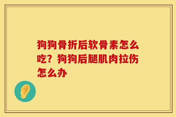 狗狗骨折后软骨素怎么吃？狗狗后腿肌肉拉伤怎么办