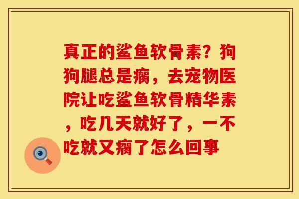 真正的鲨鱼软骨素？狗狗腿总是瘸，去宠物医院让吃鲨鱼软骨精华素，吃几天就好了，一不吃就又瘸了怎么回事