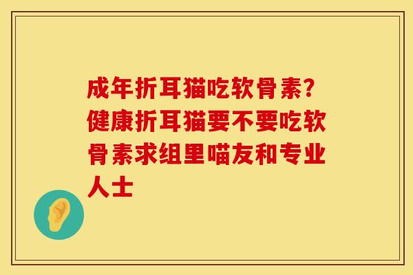 成年折耳猫吃软骨素？健康折耳猫要不要吃软骨素求组里喵友和专业人士