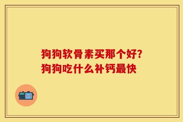 狗狗软骨素买那个好？狗狗吃什么补钙最快