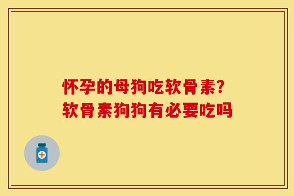 怀孕的母狗吃软骨素?软骨素狗狗有必要吃吗