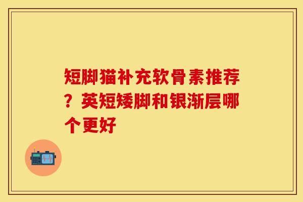 短脚猫补充软骨素推荐？英短矮脚和银渐层哪个更好