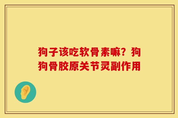 狗子该吃软骨素嘛？狗狗骨胶原关节灵副作用