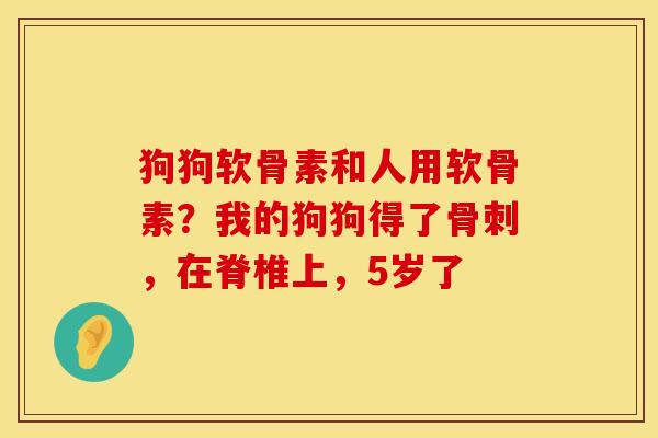 狗狗软骨素和人用软骨素？我的狗狗得了骨刺，在脊椎上，5岁了