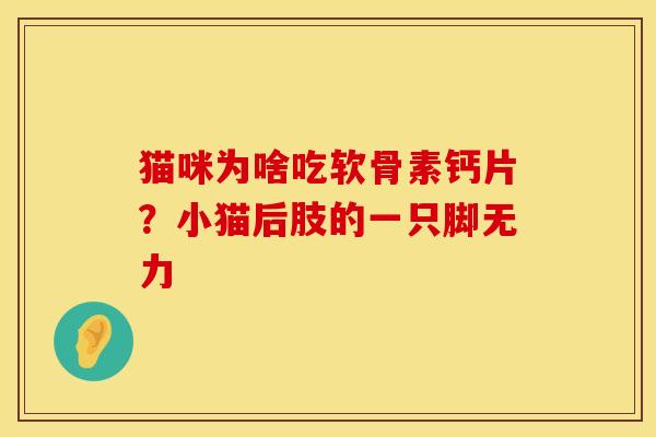 猫咪为啥吃软骨素钙片？小猫后肢的一只脚无力