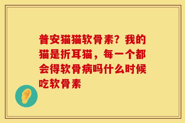 普安猫猫软骨素？我的猫是折耳猫，每一个都会得软骨病吗什么时候吃软骨素