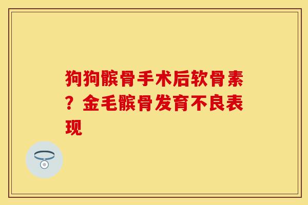 狗狗髌骨手术后软骨素？金毛髌骨发育不良表现