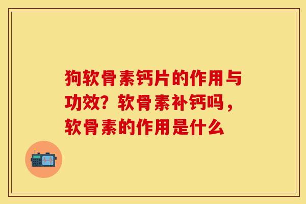 狗软骨素钙片的作用与功效？软骨素补钙吗，软骨素的作用是什么