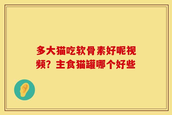 多大猫吃软骨素好呢视频？主食猫罐哪个好些