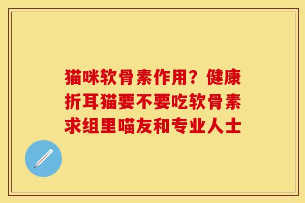猫咪软骨素作用？健康折耳猫要不要吃软骨素求组里喵友和专业人士