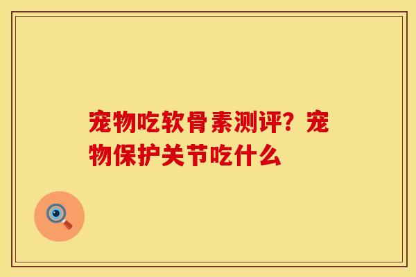 宠物吃软骨素测评？宠物保护关节吃什么