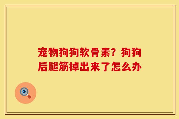 宠物狗狗软骨素？狗狗后腿筋掉出来了怎么办