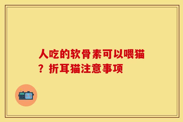 人吃的软骨素可以喂猫?折耳猫注意事项