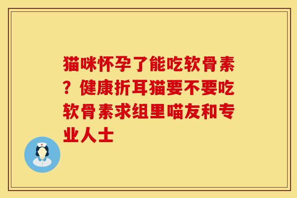 猫咪怀孕了能吃软骨素？健康折耳猫要不要吃软骨素求组里喵友和专业人士