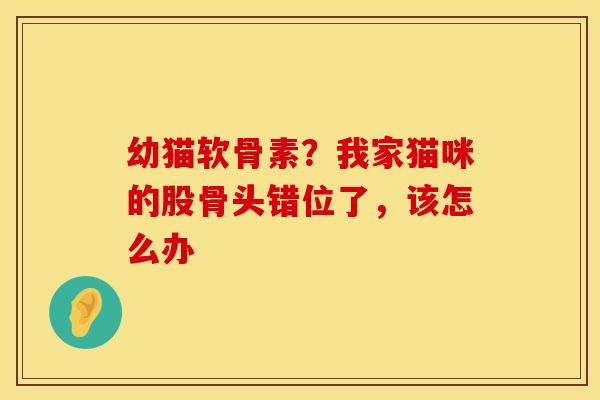 幼猫软骨素？我家猫咪的股骨头错位了，该怎么办