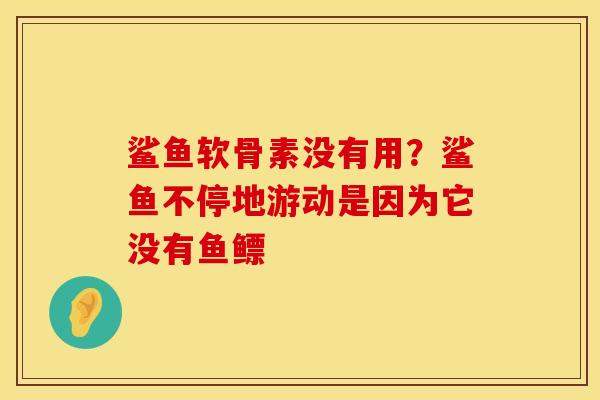 鲨鱼软骨素没有用?鲨鱼不停地游动是因为它没有鱼鳔