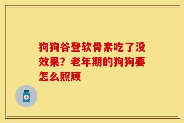 狗狗谷登软骨素吃了没效果?老年期的狗狗要怎么照顾