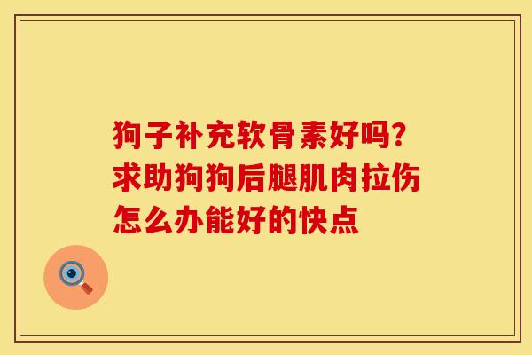 狗子补充软骨素好吗？求助狗狗后腿肌肉拉伤怎么办能好的快点